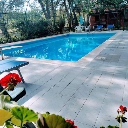Agriturismo Valle Verde Алтамура Екстериор снимка