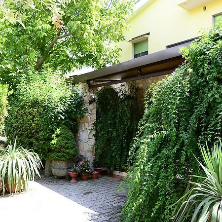 Agriturismo Valle Verde Алтамура Екстериор снимка