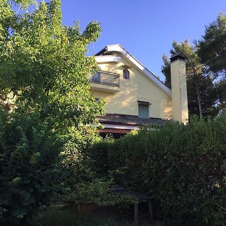 Agriturismo Valle Verde Алтамура Екстериор снимка