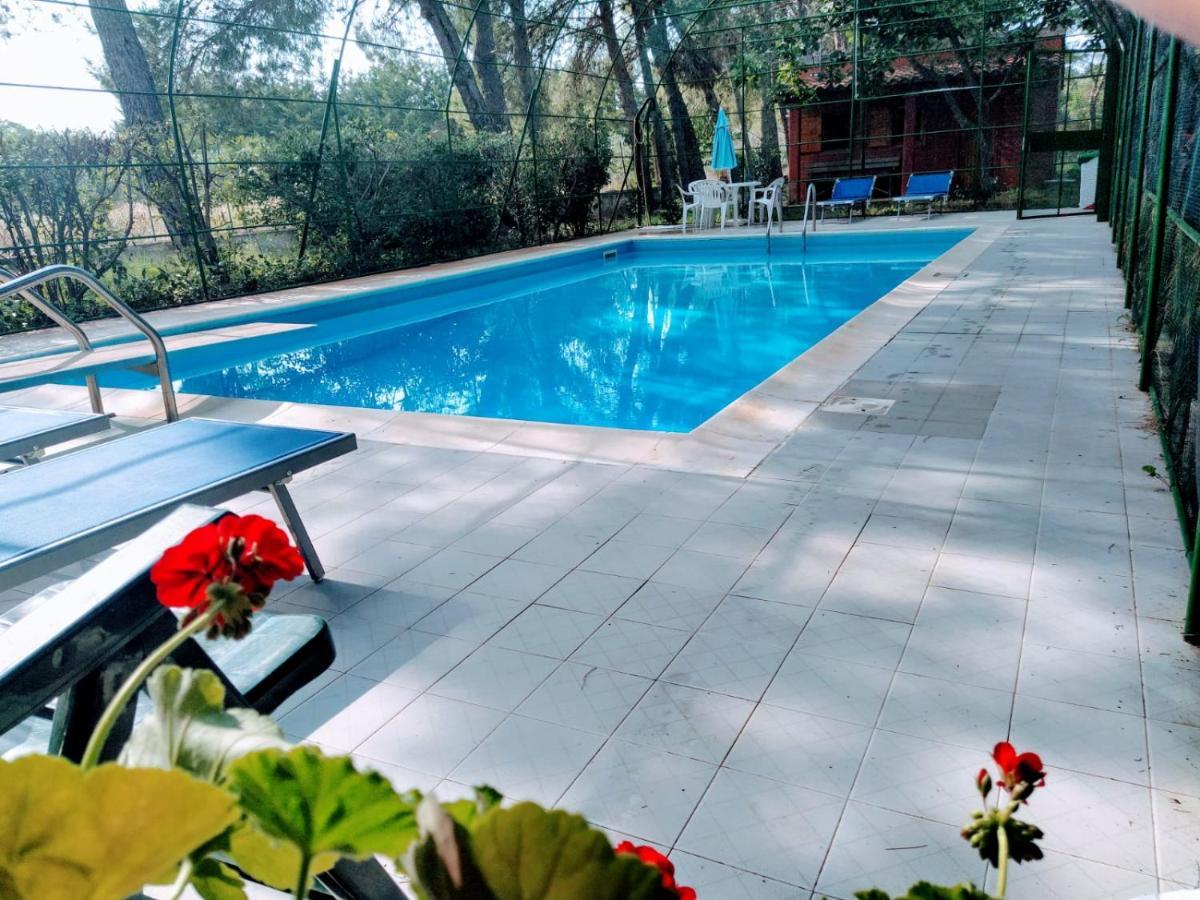 Agriturismo Valle Verde Алтамура Екстериор снимка