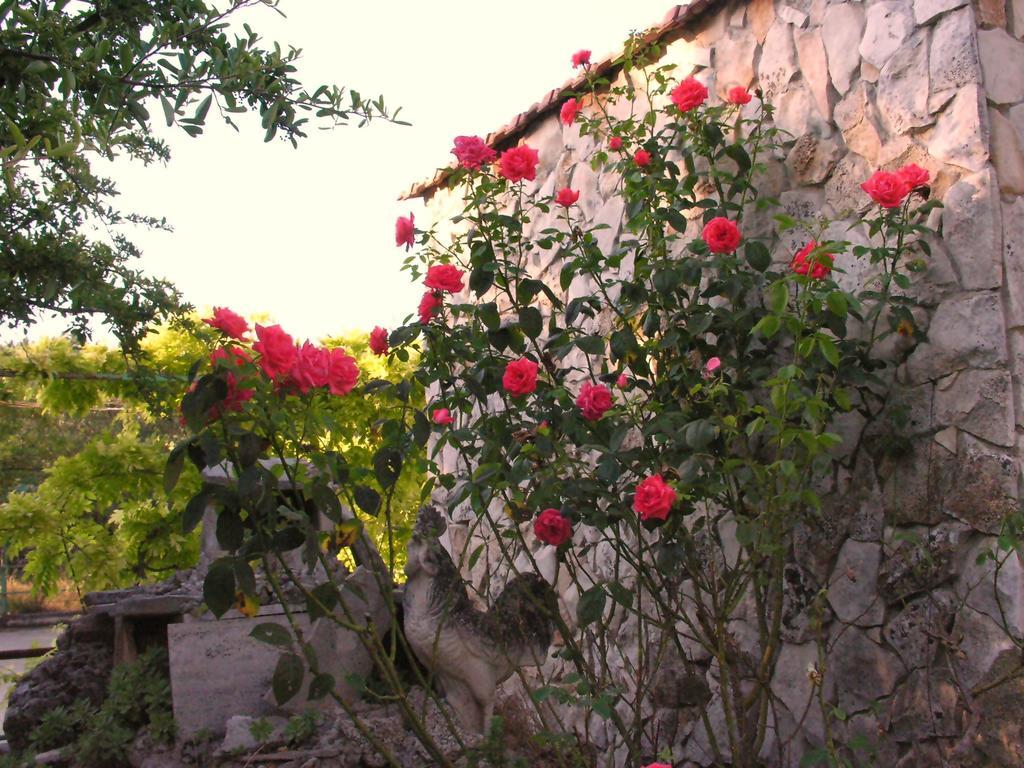 Agriturismo Valle Verde Алтамура Екстериор снимка