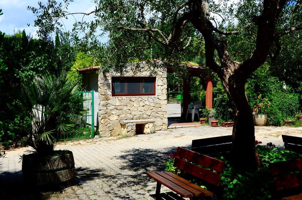 Agriturismo Valle Verde Алтамура Екстериор снимка