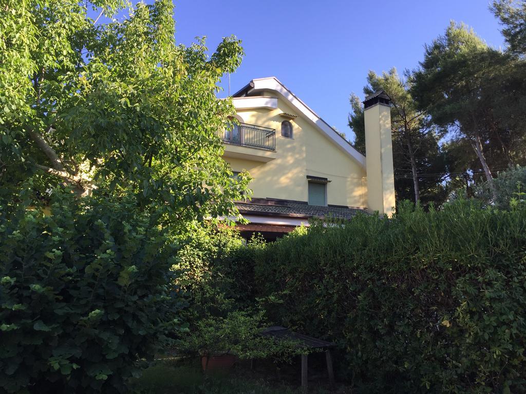 Agriturismo Valle Verde Алтамура Екстериор снимка