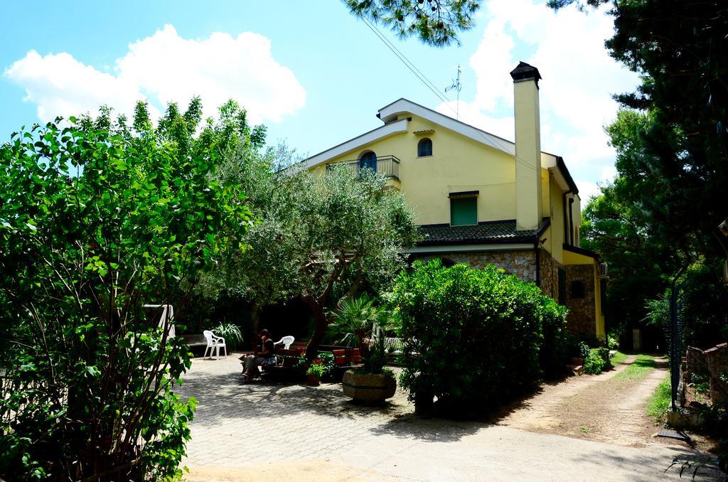 Agriturismo Valle Verde Алтамура Екстериор снимка