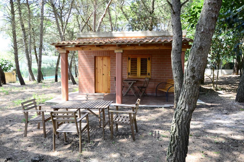 Agriturismo Valle Verde Алтамура Екстериор снимка